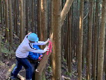 十津川村での林業体験_奈良の木　造形演習